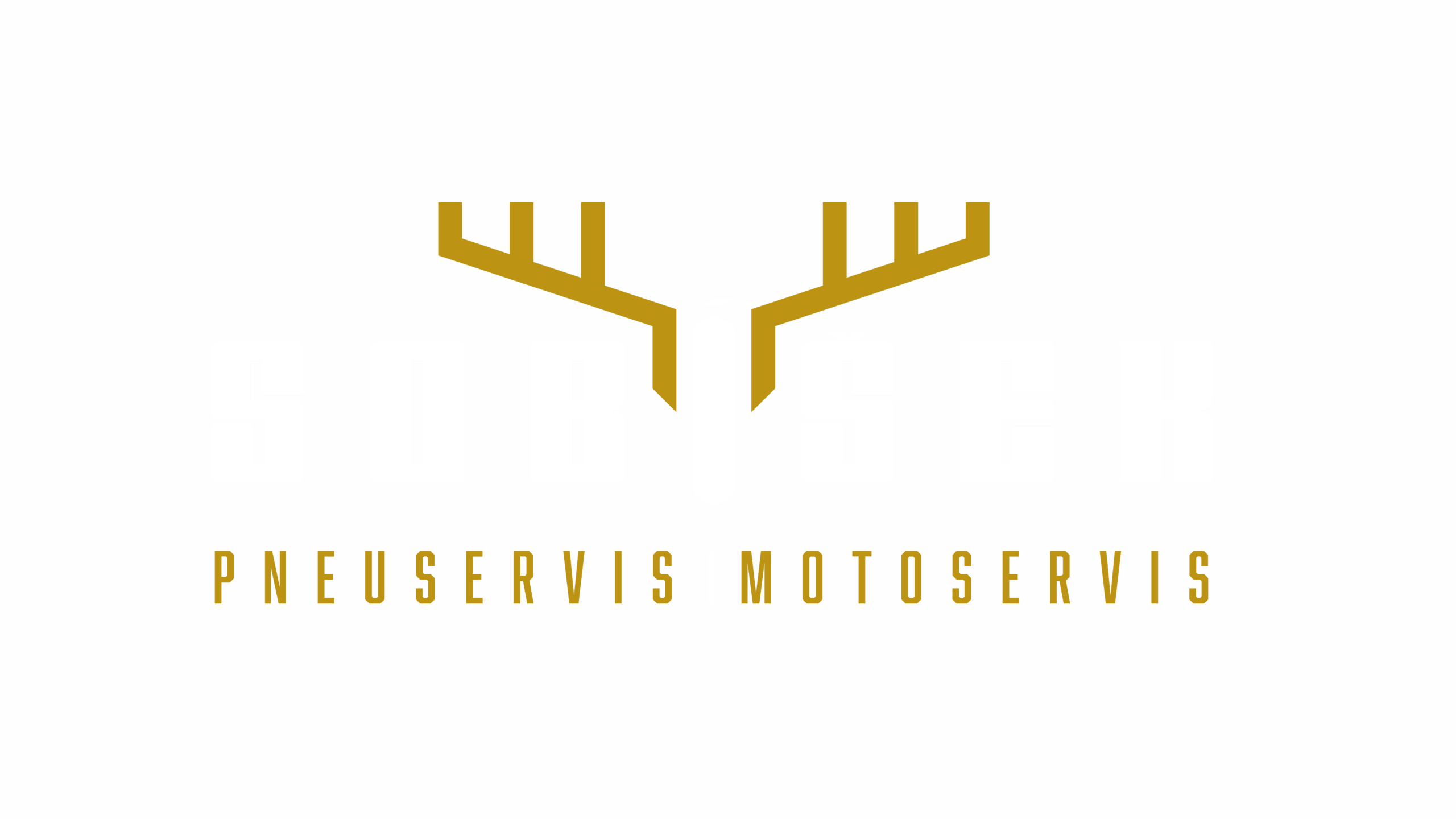 Pneu Sobíšek
